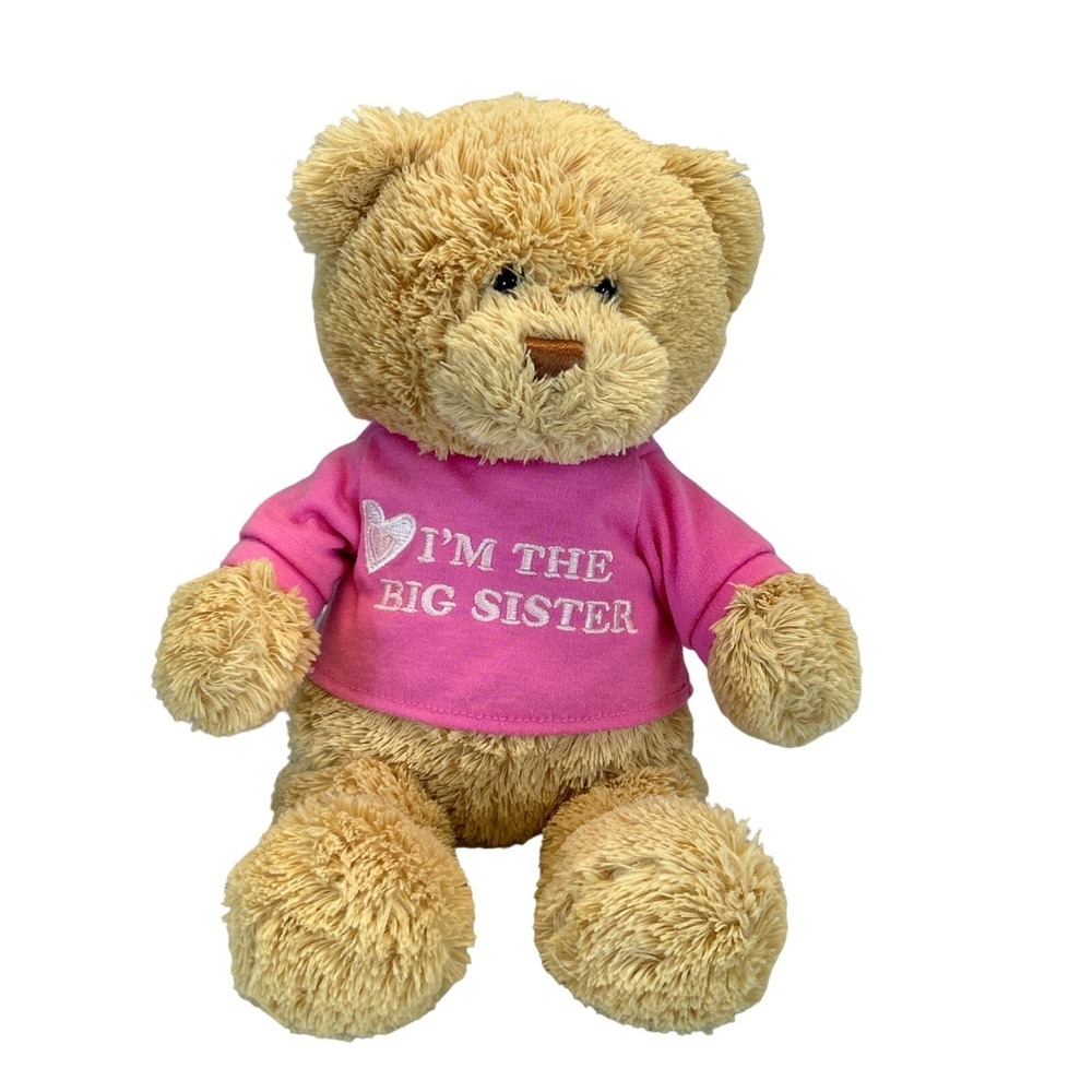 GUND Im The Big Sister Plush Teddy Bear 12" Pink Shirt Stuffed Animal Doll